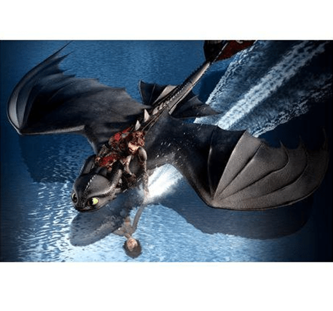 Riding Night Fury Wooden 1000 Piece Jigsaw Puzzle Toy For Adults and Kids