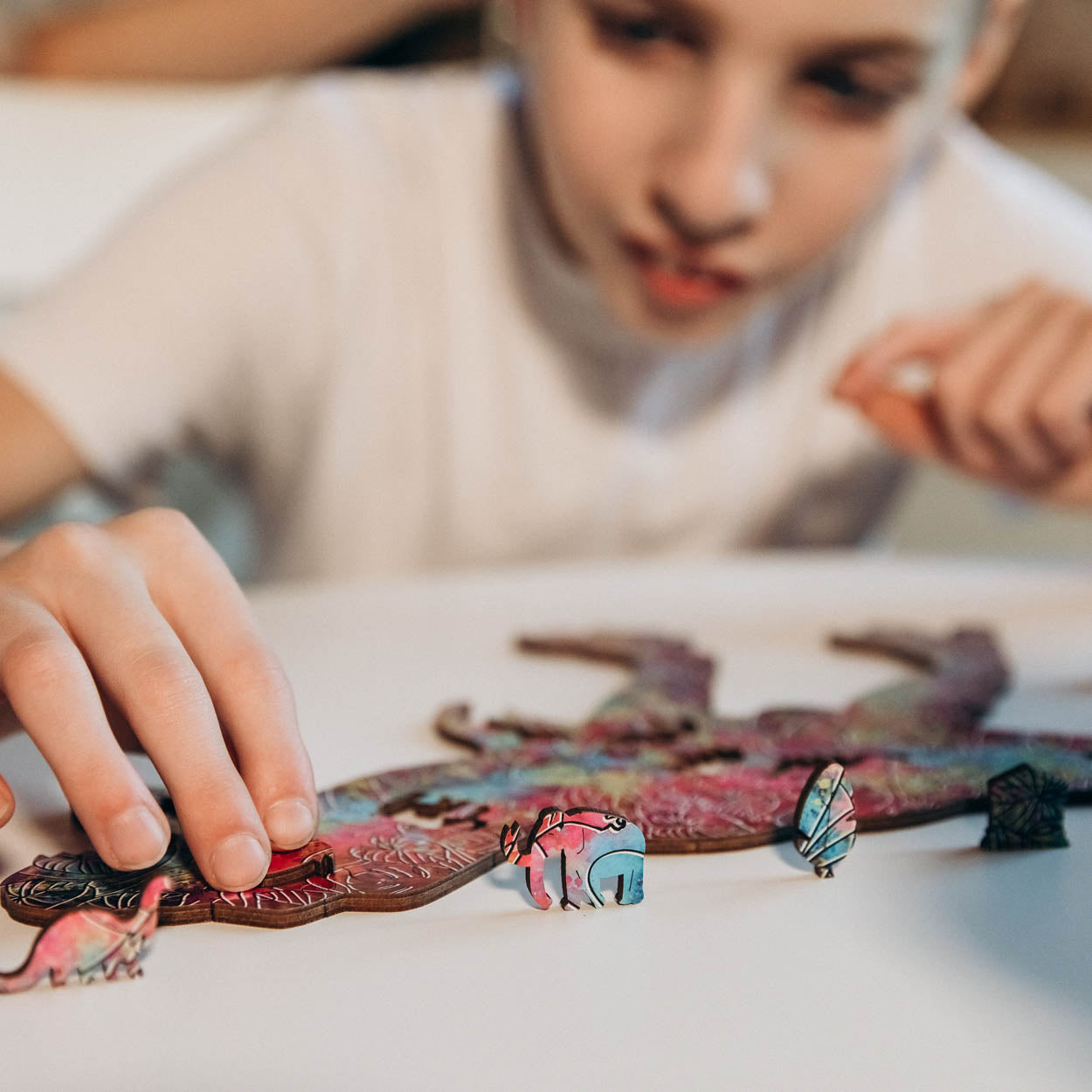 Prehistoric Dinosaur Puzzle Set