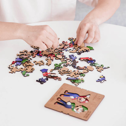 Mario And Luigi Puzzle Game Set