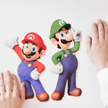 Mario And Luigi Puzzle Game Set