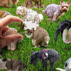 Animals 1000 Piece Jigsaw Puzzle