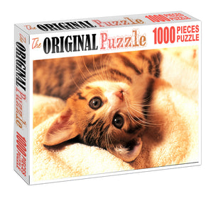 Cat Laying on Bed is Wooden 1000 Piece Jigsaw Puzzle Toy For Adults and Kids