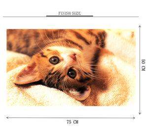 Cat Laying on Bed is Wooden 1000 Piece Jigsaw Puzzle Toy For Adults and Kids