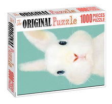 Easter Bunny is Wooden 1000 Piece Jigsaw Puzzle Toy For Adults and Kids