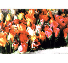 Roses is Wooden 1000 Piece Jigsaw Puzzle Toy For Adults and Kids