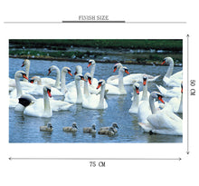 Group of White Swans Wooden 1000 Piece Jigsaw Puzzle Toy For Adults and Kids