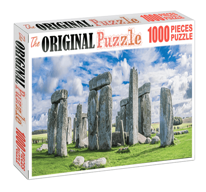 Standing Wall of PISA is Wooden 1000 Piece Jigsaw Puzzle Toy For Adults and Kids