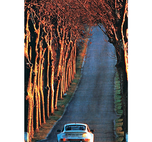 Long Drive Wooden 1000 Piece Jigsaw Puzzle Toy For Adults and Kids