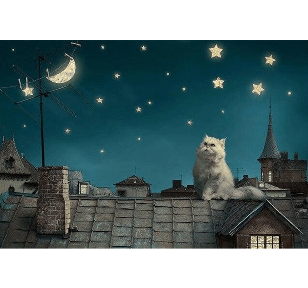 Cat looking at Moon is Wooden 1000 Piece Jigsaw Puzzle Toy For Adults and Kids