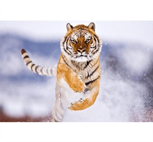 Snow Tiger is Wooden 1000 Piece Jigsaw Puzzle Toy For Adults and Kids