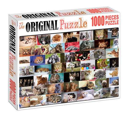 Cat Breeds Wooden 1000 Piece Jigsaw Puzzle Toy For Adults and Kids