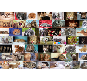 Cat Breeds Wooden 1000 Piece Jigsaw Puzzle Toy For Adults and Kids