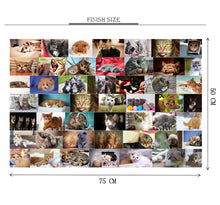 Cat Breeds Wooden 1000 Piece Jigsaw Puzzle Toy For Adults and Kids