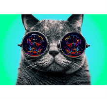 Boom Cat Wooden 1000 Piece Jigsaw Puzzle Toy For Adults and Kids
