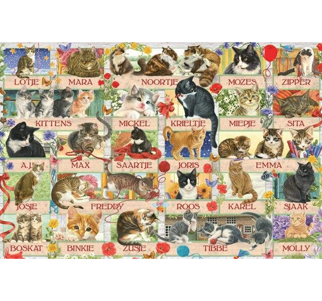 Family Name of Cats Wooden 1000 Piece Jigsaw Puzzle Toy For Adults and Kids