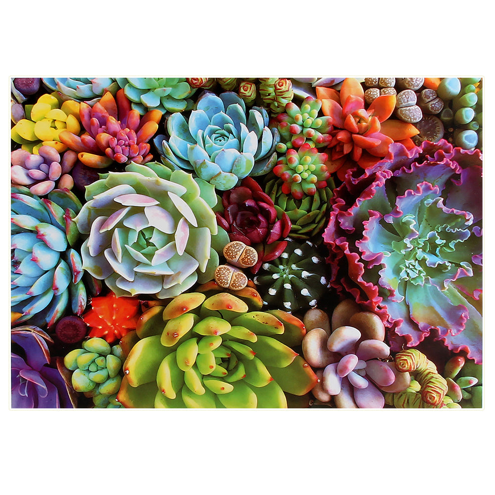 Succulent Plants Wooden 1000 Piece Jigsaw Puzzle Toy For Adults and Kids