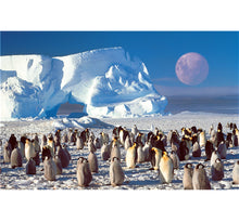 Penguins is Wooden 1000 Piece Jigsaw Puzzle Toy For Adults and Kids