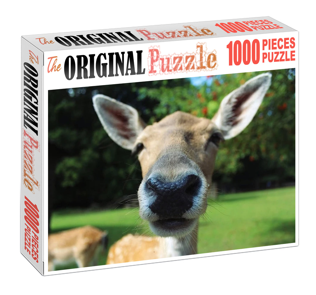 Donkey Wooden 1000 Piece Jigsaw Puzzle Toy For Adults and Kids