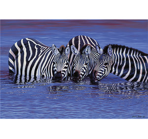 Zebra under Water is Wooden 1000 Piece Jigsaw Puzzle Toy For Adults and Kids