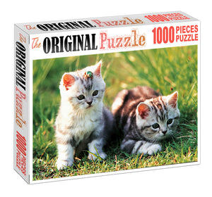 Kittens Wooden 1000 Piece Jigsaw Puzzle Toy For Adults and Kids