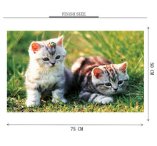 Kittens Wooden 1000 Piece Jigsaw Puzzle Toy For Adults and Kids