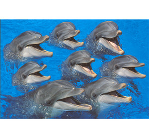 Group of Dolphin Wooden 1000 Piece Jigsaw Puzzle Toy For Adults and Kids