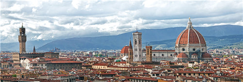 Cathedral of Santa Maria del Fiore Wooden 950 Piece Jigsaw Puzzle Toy For Adults and Kids