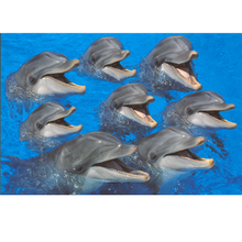 Funny Dolphins Wooden 1000 Piece Jigsaw Puzzle Toy For Adults and Kids