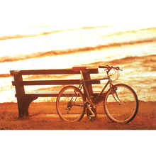 Sunset Bike 1000 Piece Jigsaw Puzzle Toy For Adults and Kids