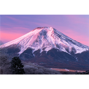 Mount Fuji Wooden 1000 Piece Jigsaw Puzzle Toy For Adults and Kids